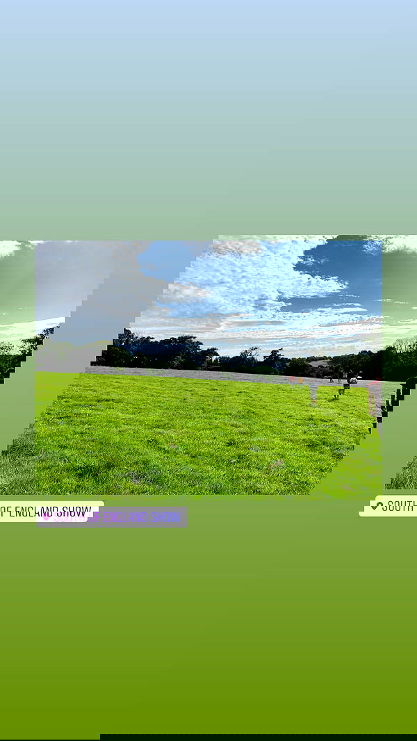 jaroslava_klavir jaroslava_klavir archive image