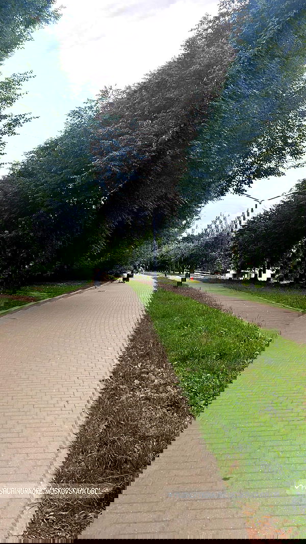 jaroslava_klavir jaroslava_klavir archive image