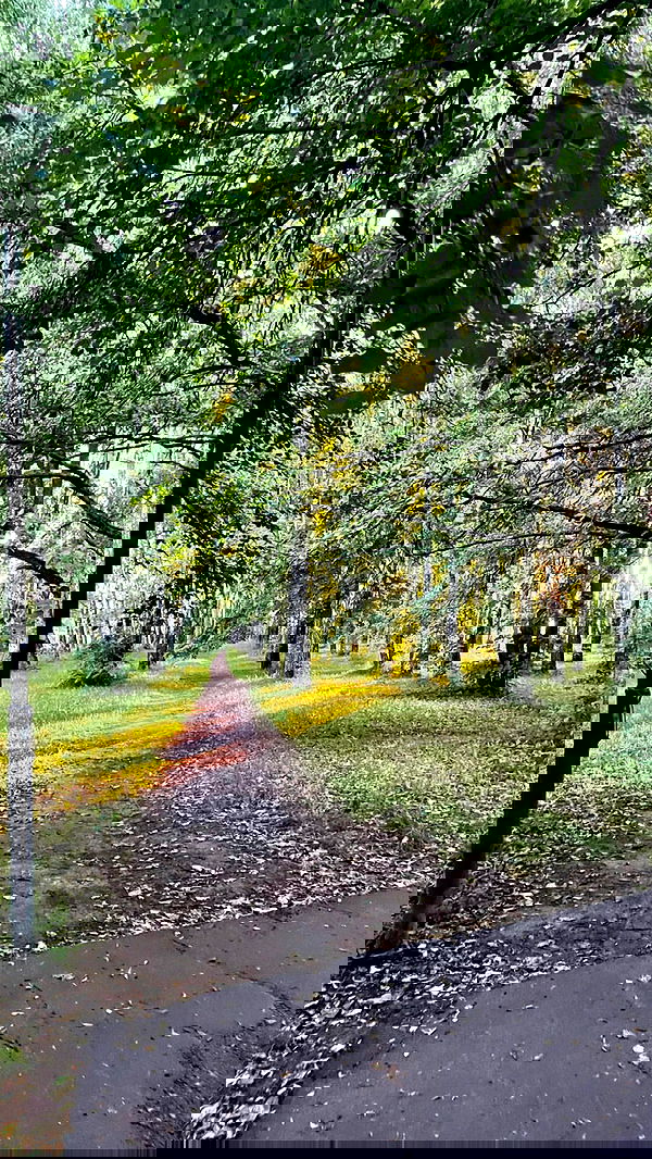 jaroslava_klavir jaroslava_klavir archive image