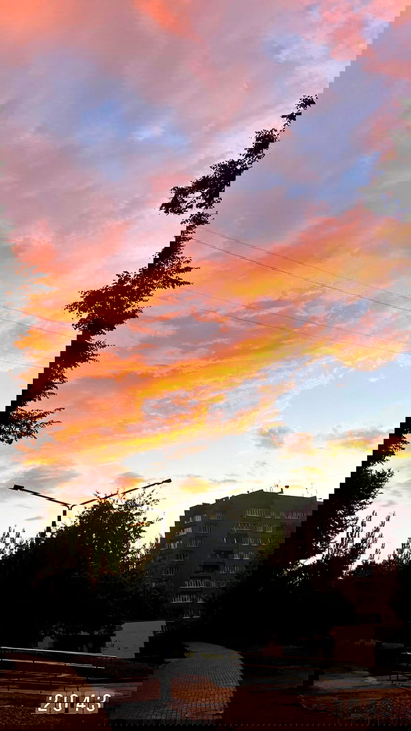 jaroslava_klavir jaroslava_klavir archive image