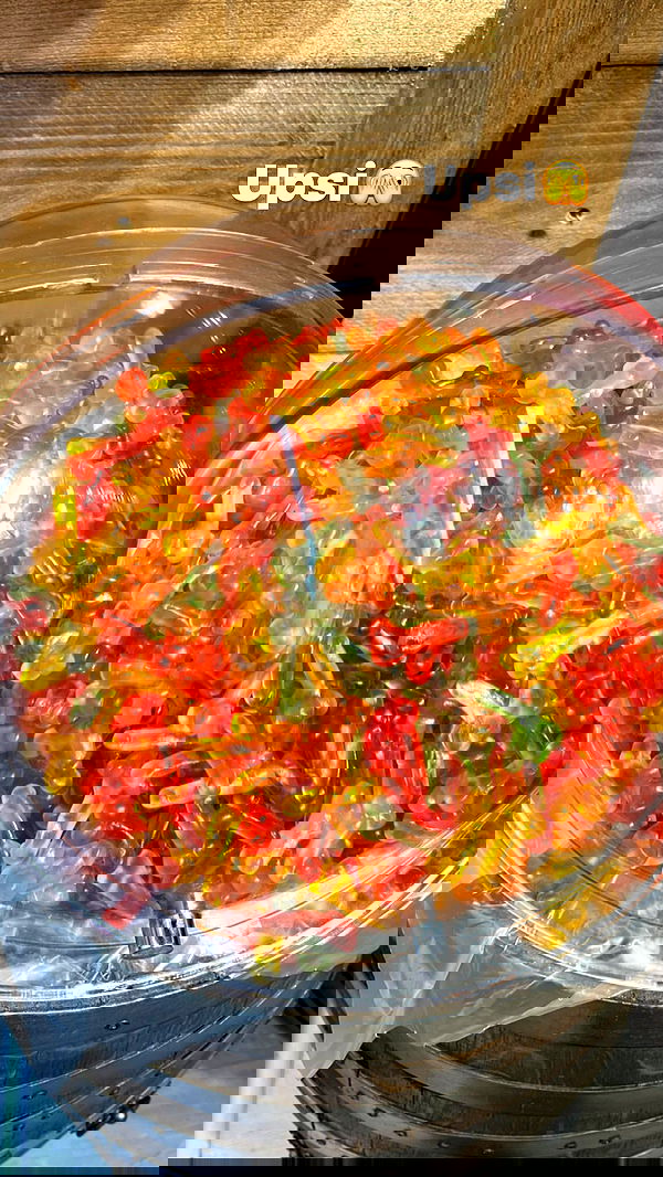 jaroslava_klavir jaroslava_klavir archive image