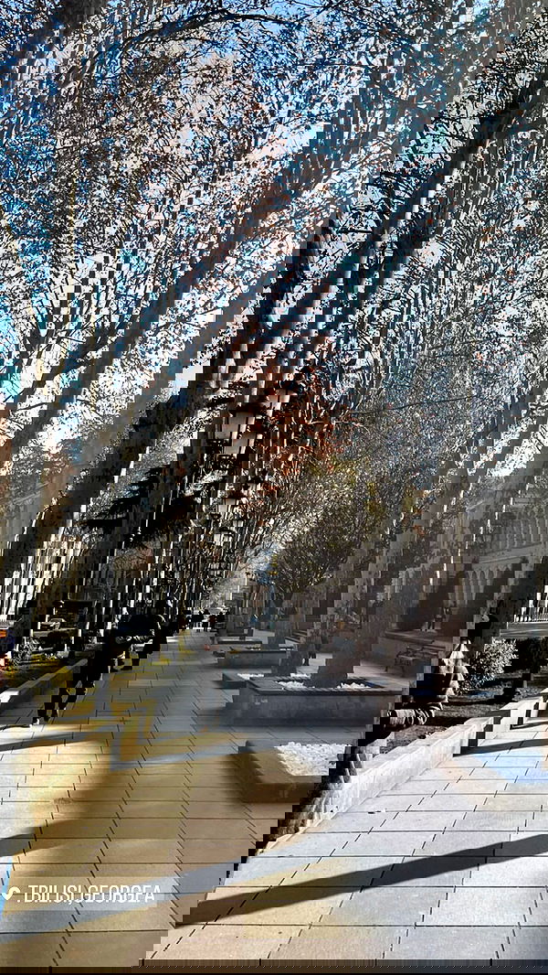 jaroslava_klavir jaroslava_klavir archive image