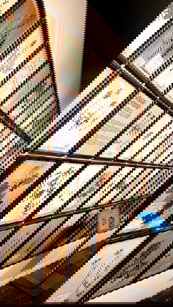 jaroslava_klavir jaroslava_klavir archive image