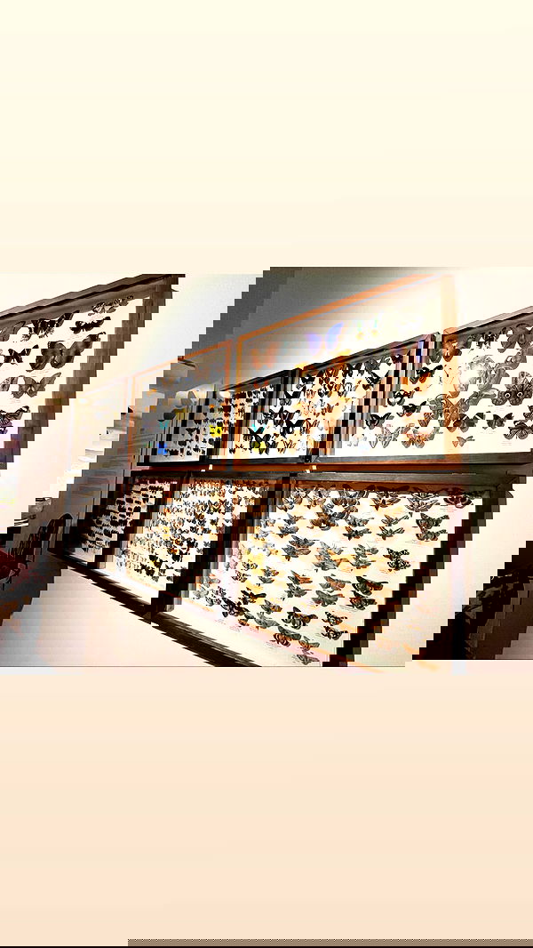 jaroslava_klavir jaroslava_klavir archive image