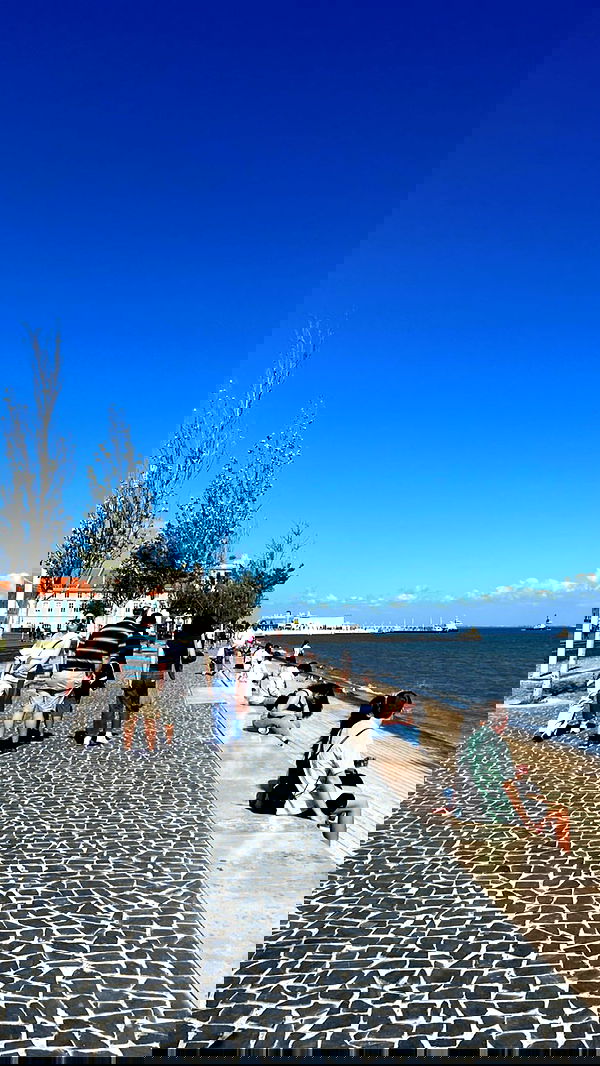 jaroslava_klavir jaroslava_klavir archive image