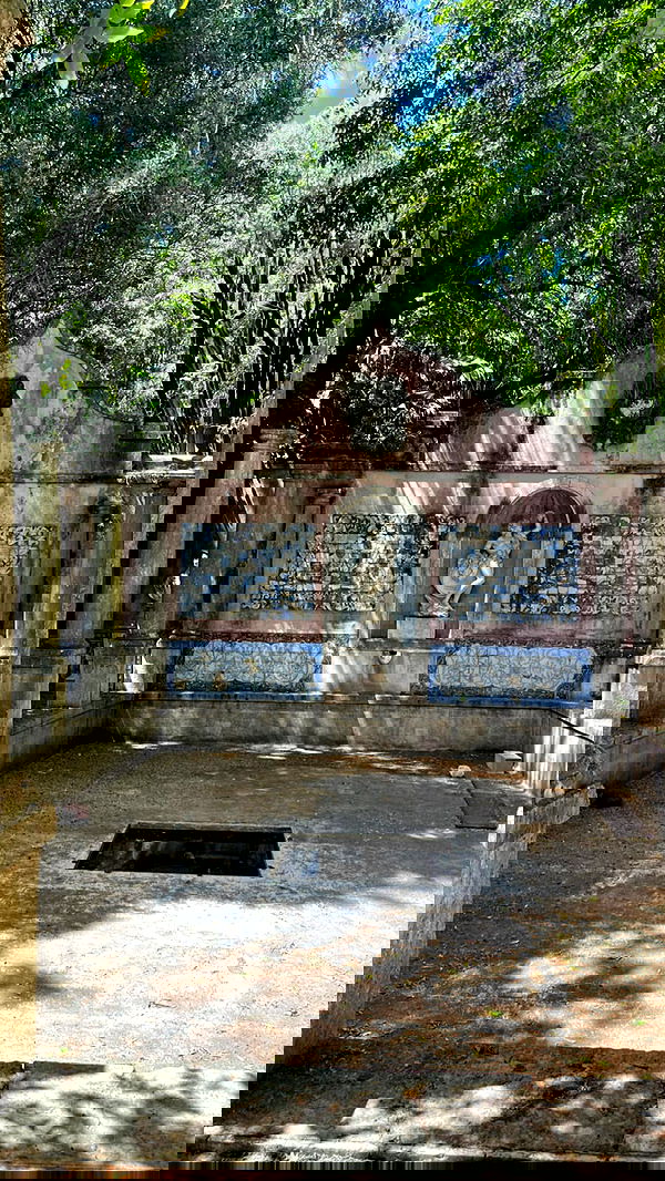 jaroslava_klavir jaroslava_klavir archive image