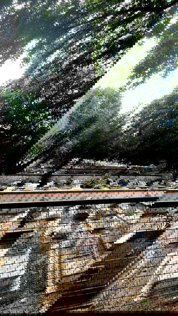 jaroslava_klavir jaroslava_klavir archive image