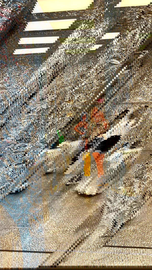 jaroslava_klavir jaroslava_klavir archive image