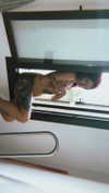 kingmishlesh Altpins Profile Picture
