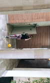 kingvalery.1 Altpins Profile Picture