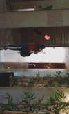 kingvalery.1 Altpins Profile Picture