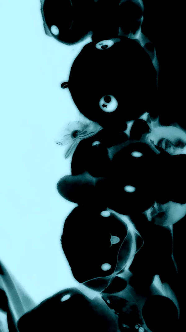 kitty___kitty16 kitty___kitty16 archive image
