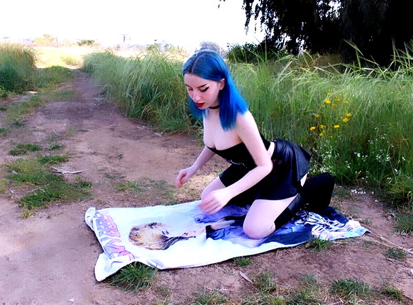 kitty___kitty16 kitty___kitty16 archive image