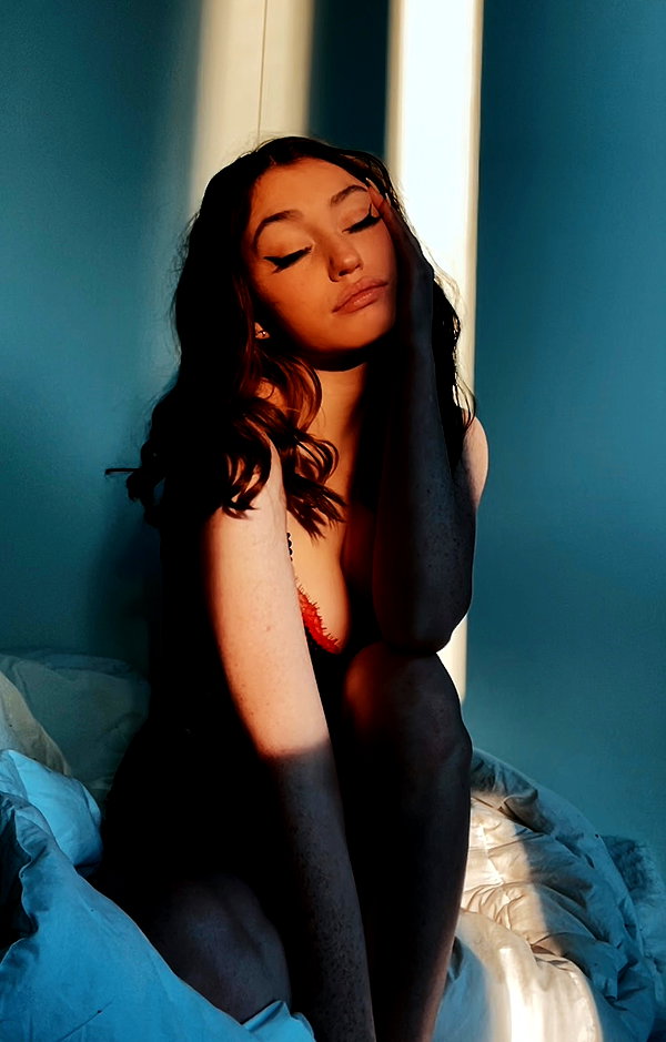 lacylotus lacylotus archive image