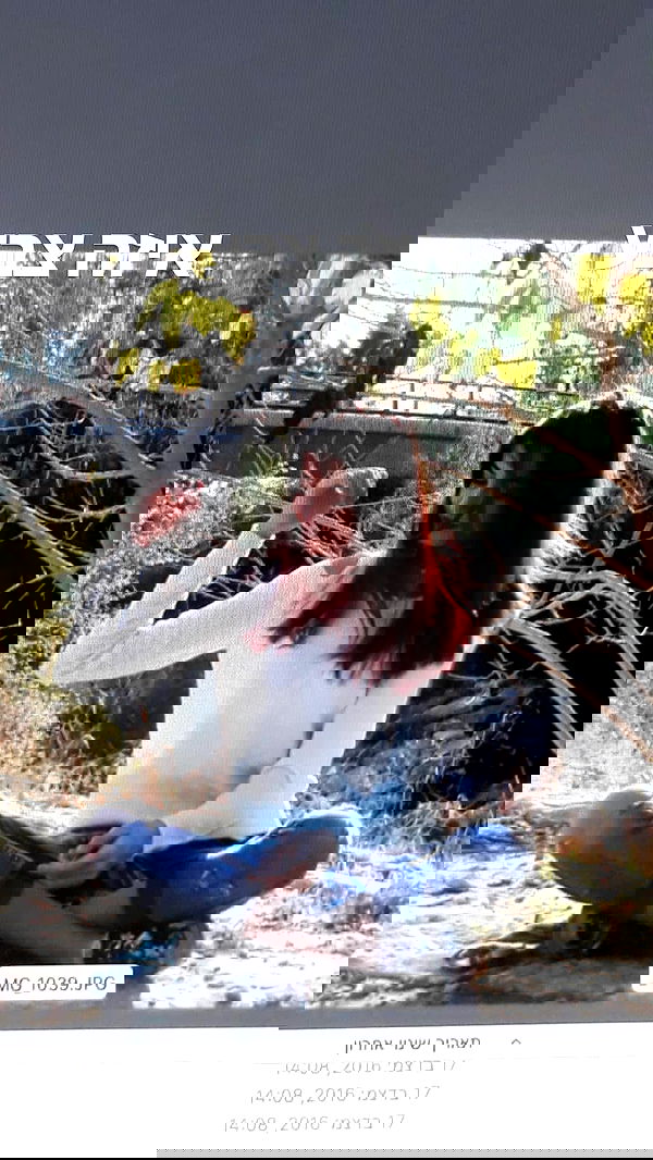 laluzone laluzone archive image