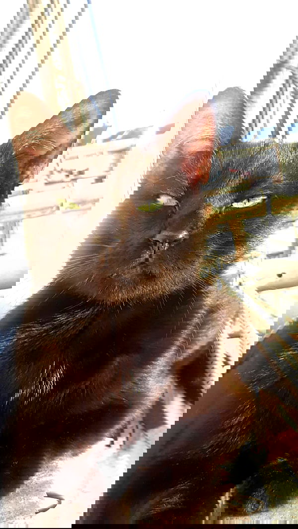 laluzone laluzone archive image