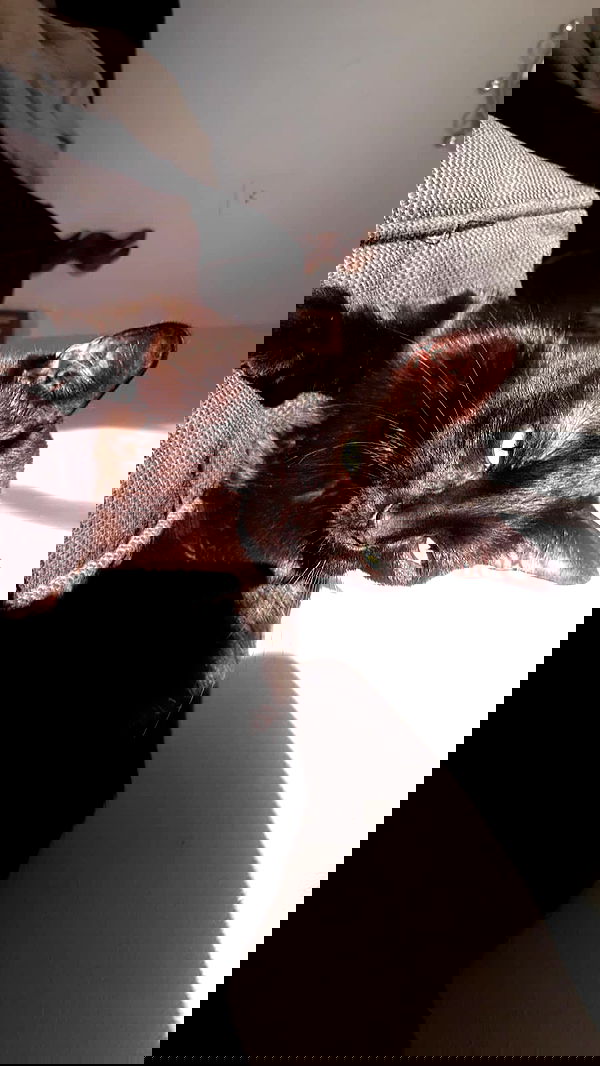 laluzone laluzone archive image