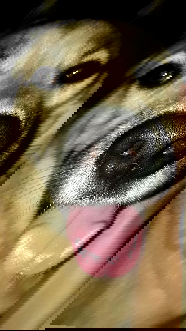 laluzone laluzone archive image