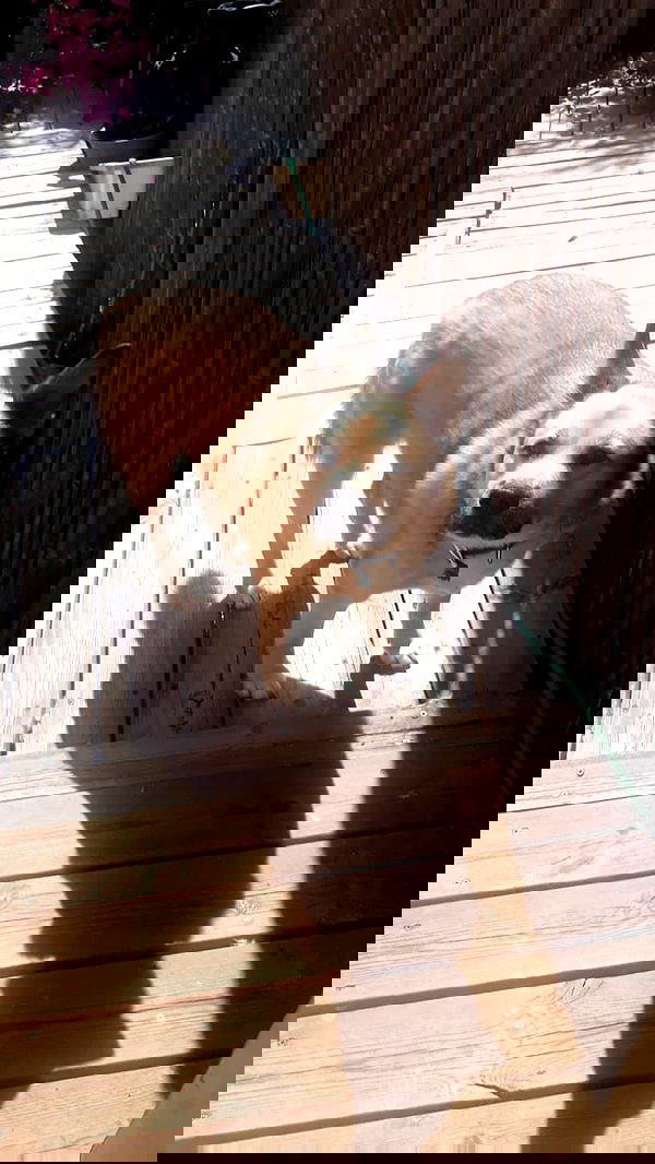 laluzone laluzone archive image