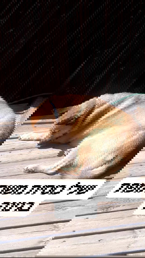 laluzone laluzone archive image