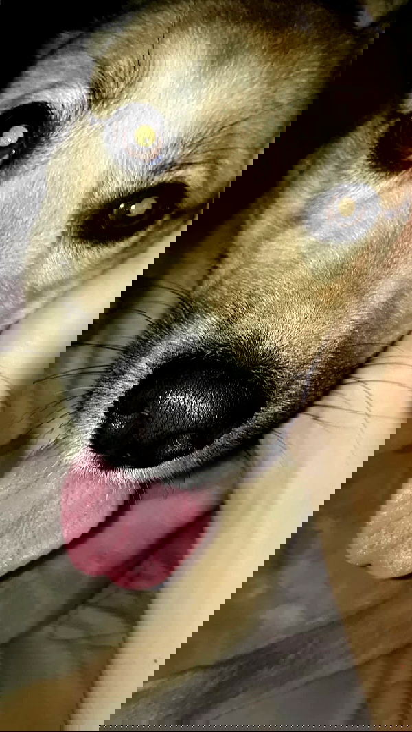 laluzone laluzone archive image