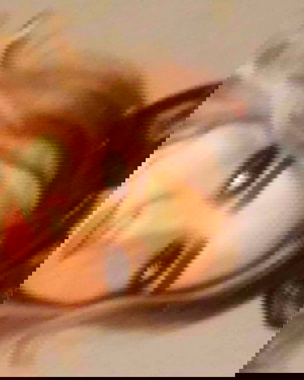 laluzone laluzone archive image