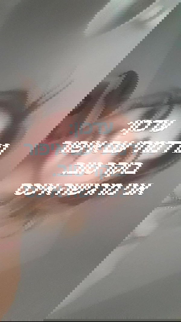 laluzone laluzone archive image