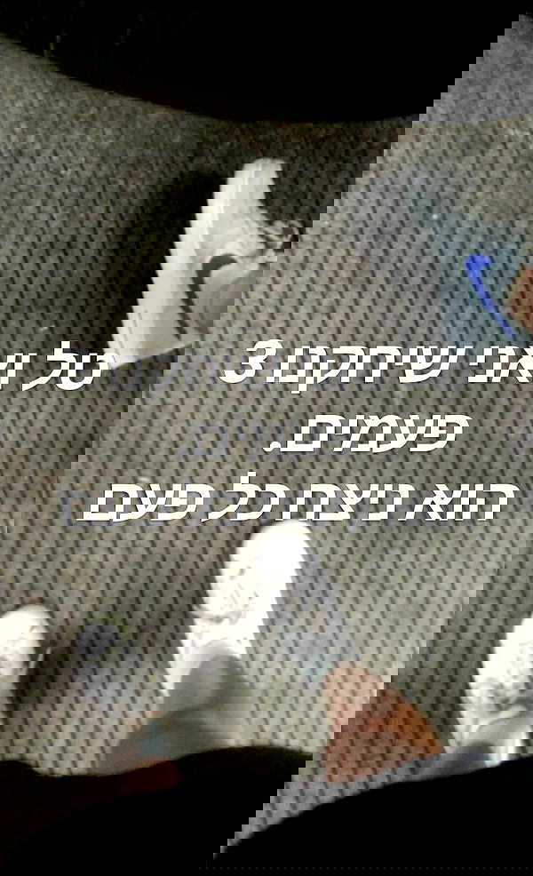 laluzone laluzone archive image