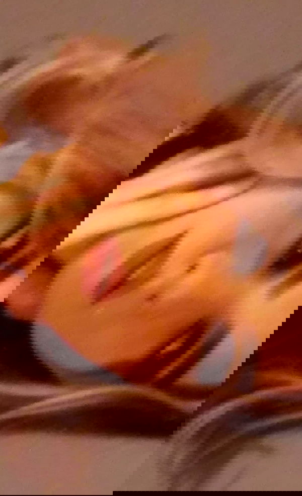 laluzone laluzone archive image