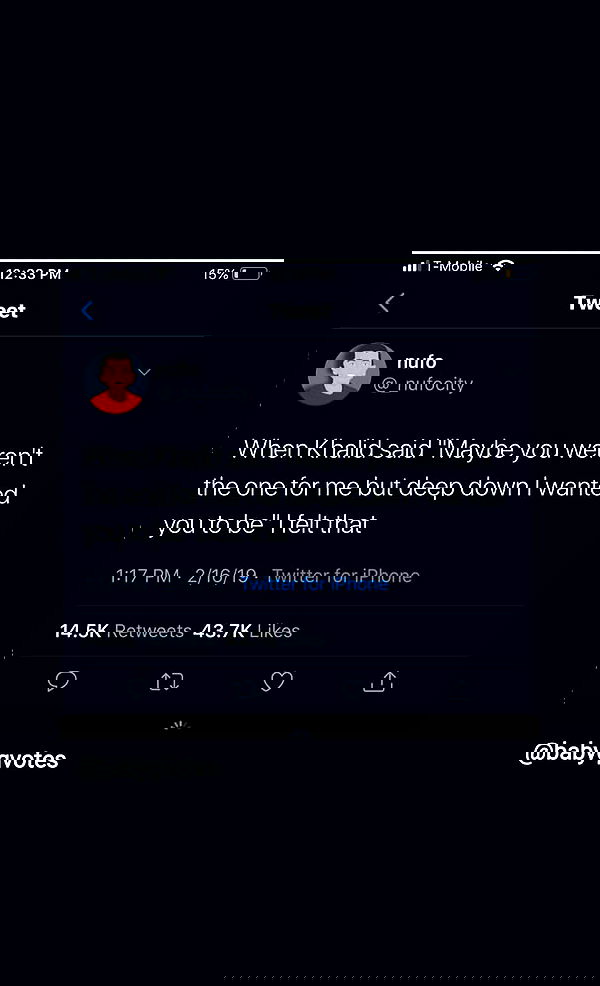 laluzone laluzone archive image