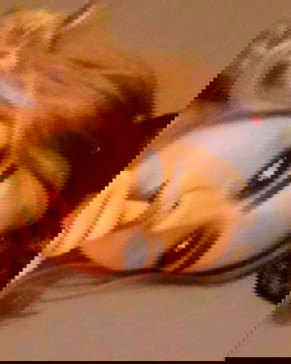 laluzone laluzone archive image