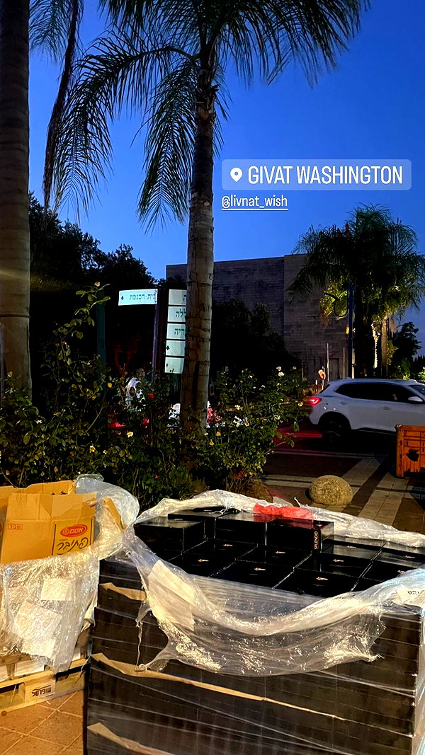 lian.gur instagram image archive image