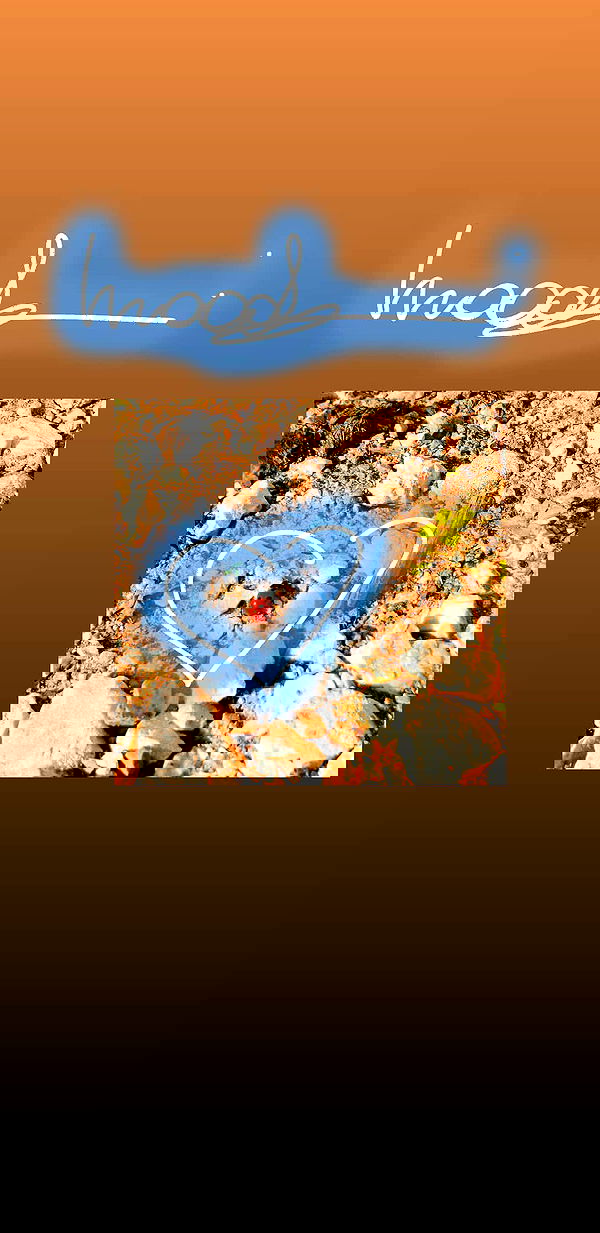 liashaked liashaked archive image