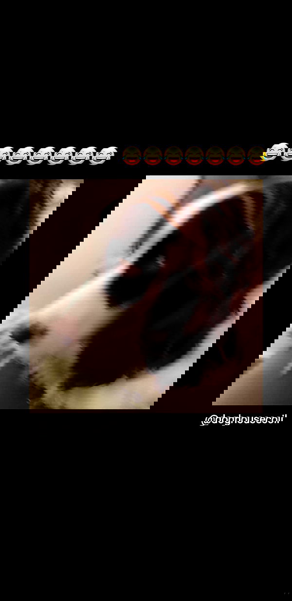 liashaked liashaked archive image