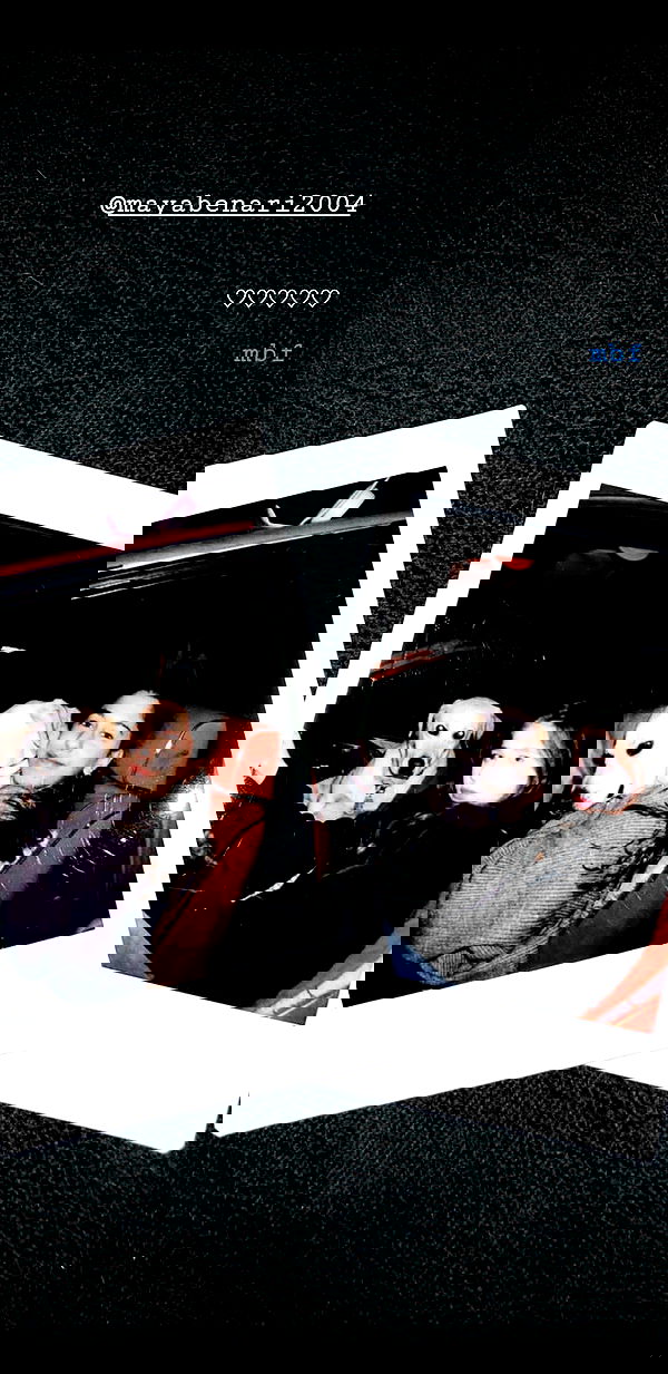 liashaked liashaked archive image