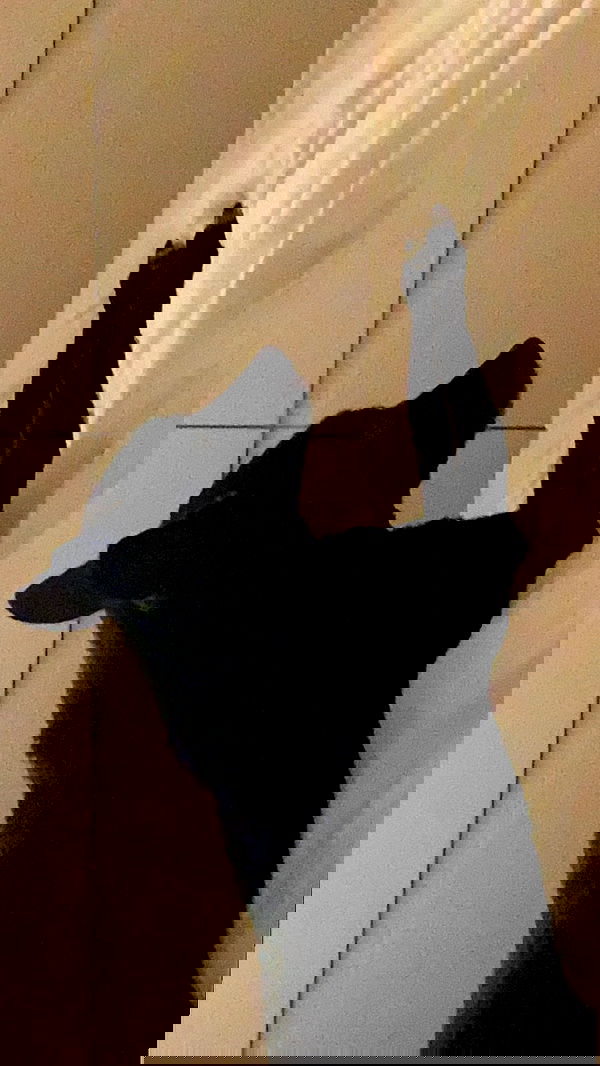 liashaked liashaked archive image