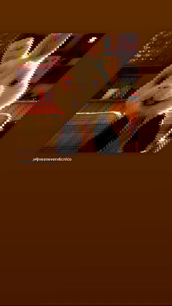 liashaked liashaked archive image