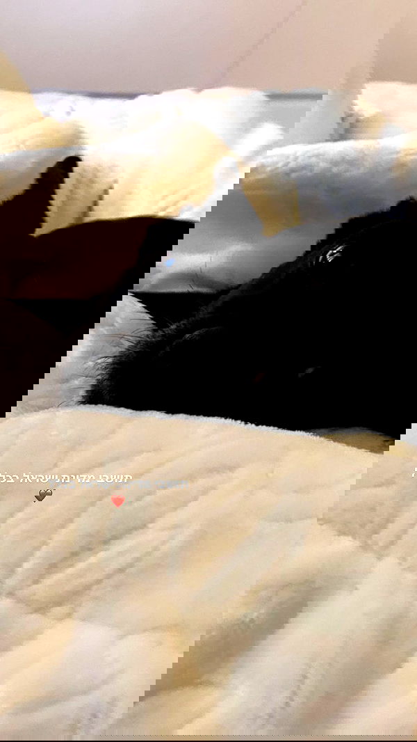 liashaked liashaked archive image