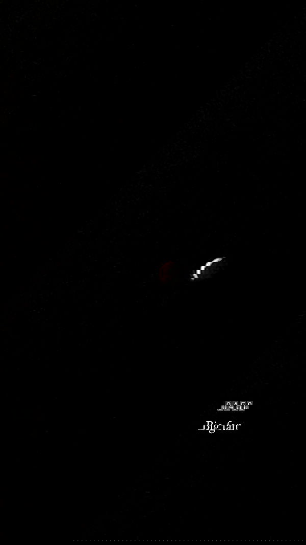 liashaked liashaked archive image