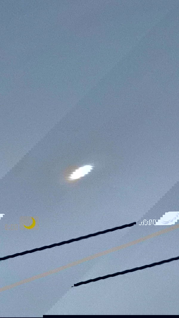 liashaked liashaked archive image