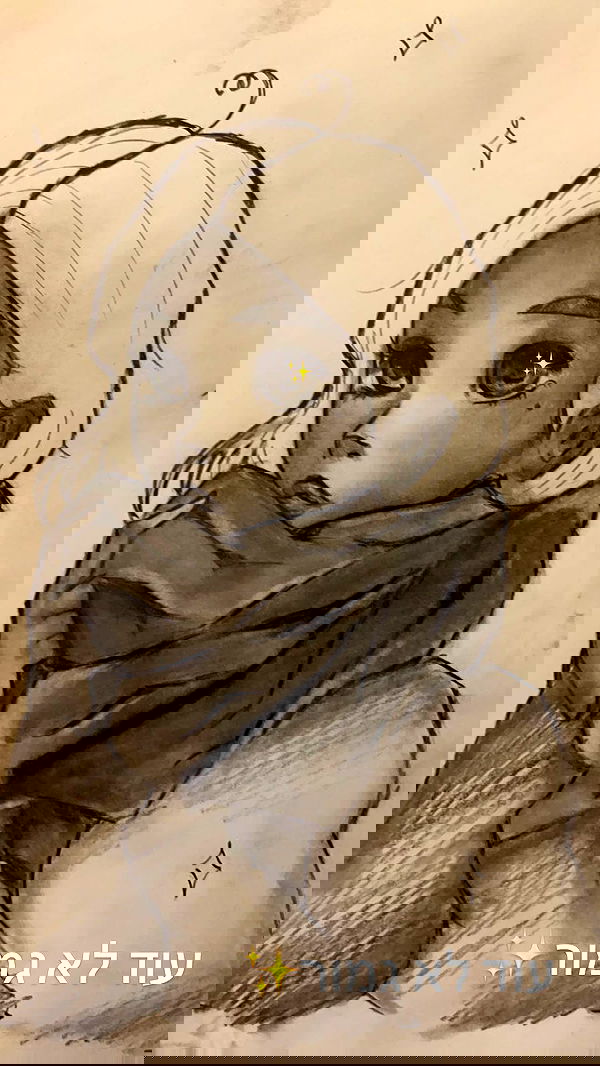 liashaked liashaked archive image