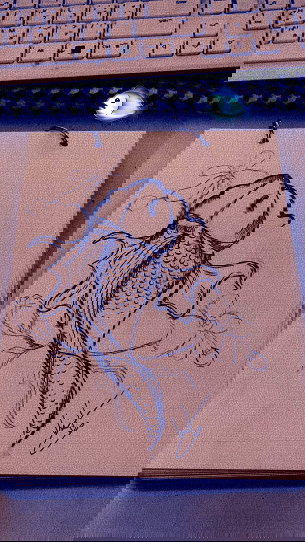 liashaked liashaked archive image