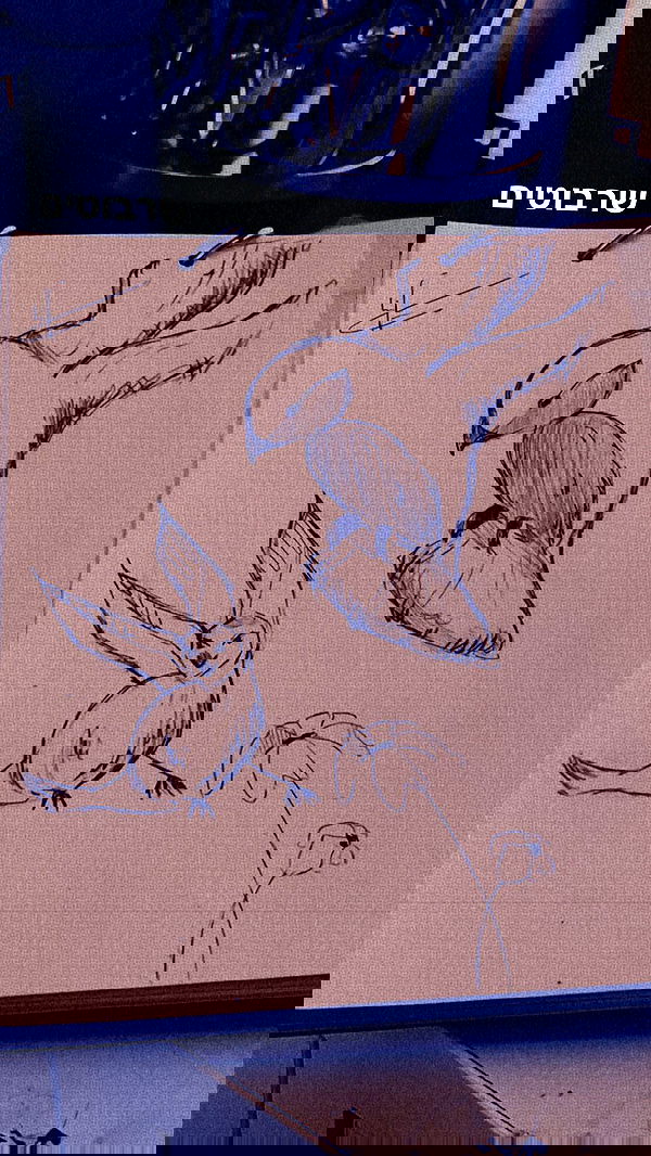 liashaked liashaked archive image