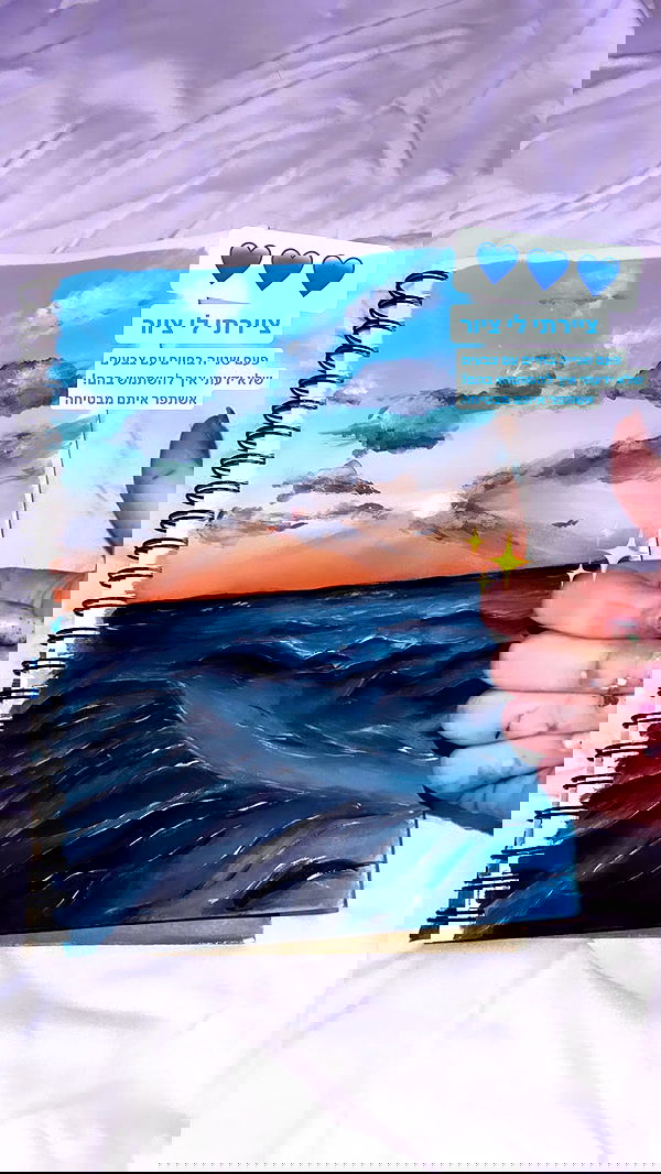 liashaked liashaked archive image