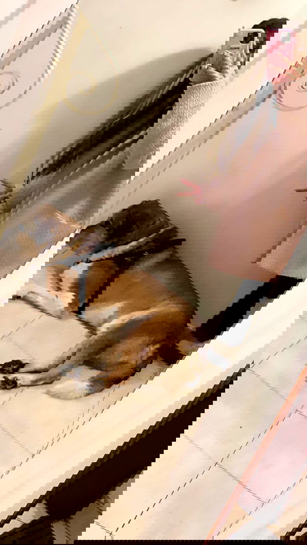 liashaked liashaked archive image