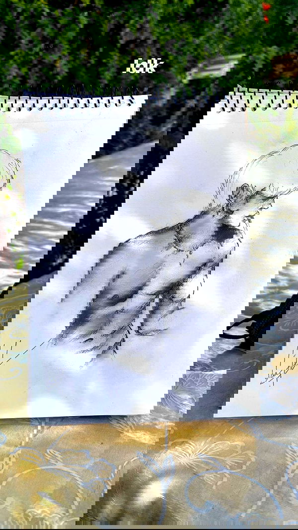 liashaked liashaked archive image