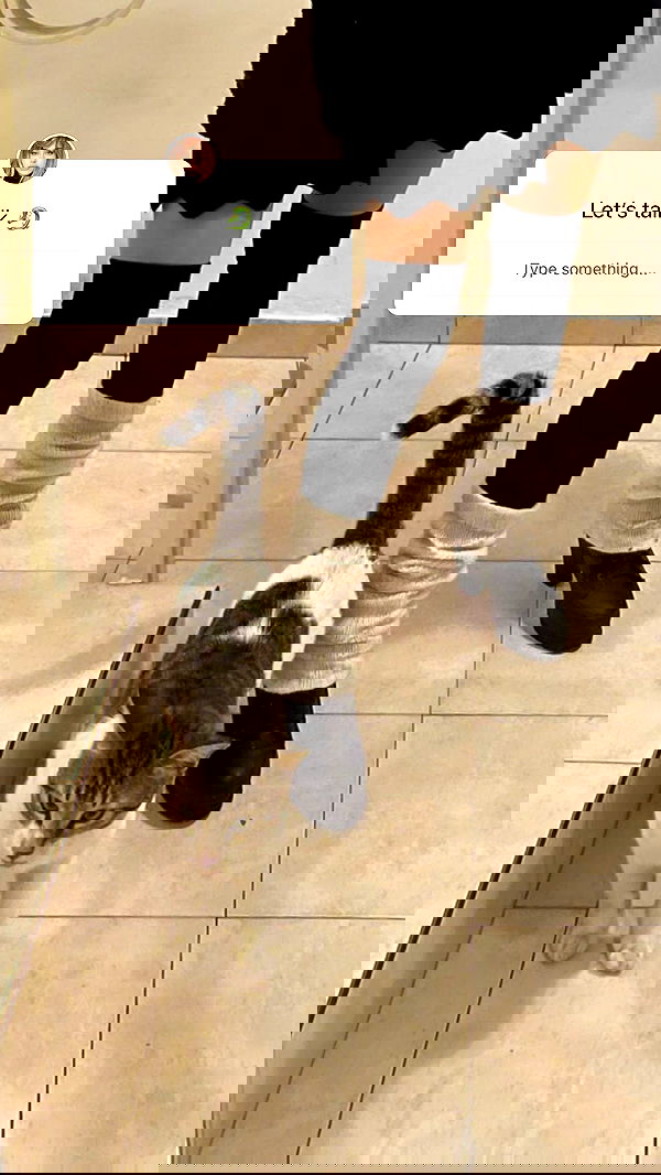 liashaked liashaked archive image