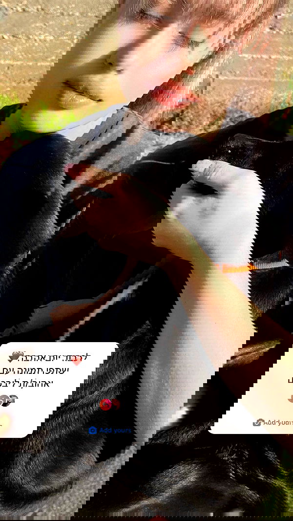 liashaked liashaked archive image