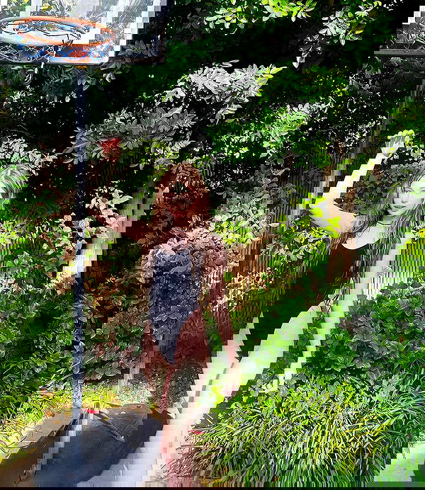 liashaked liashaked archive image