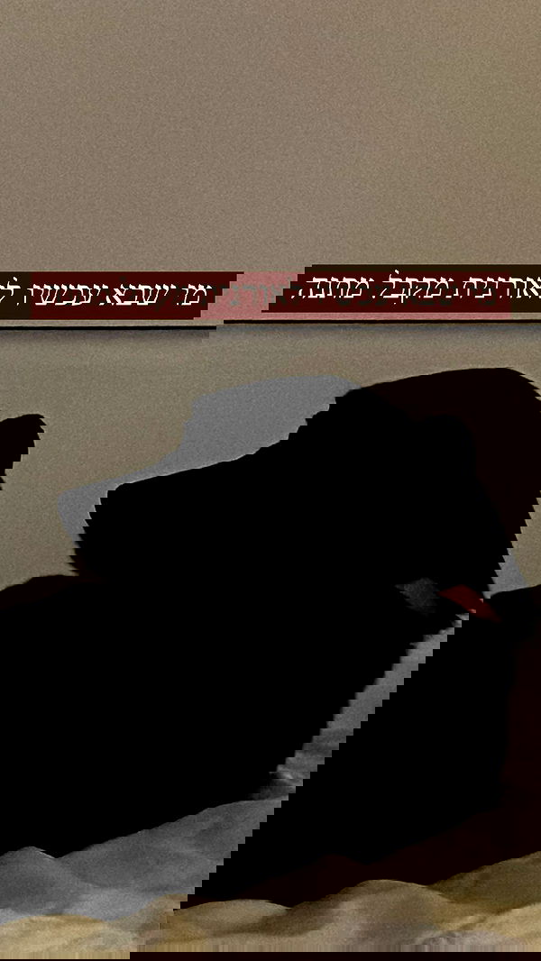 liashaked liashaked archive image